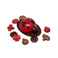 Coccinelle printemps