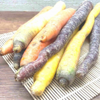Carottes arc en ciel  - bio