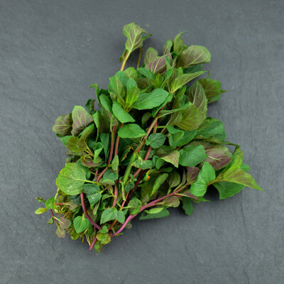 Menthe poivrée