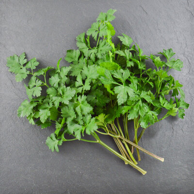 Persil plat