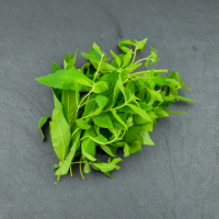 Verveine citronnelle