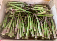 Asperges vertes fraîche 1kg