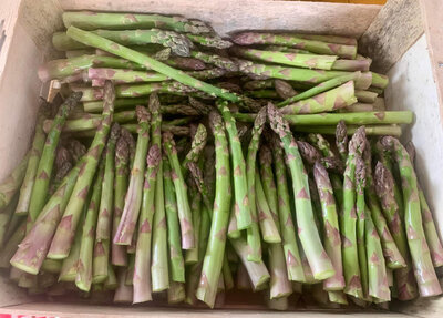 Asperges vertes fraîche 1kg