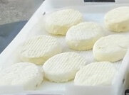 Petit louché mixte chèvre vache