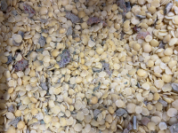 Lentilles jaunes méditerranéennes bio