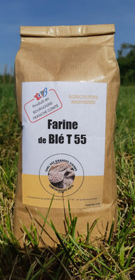 Farine de blé t55
