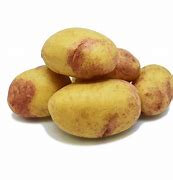 Pomme de terre carolus