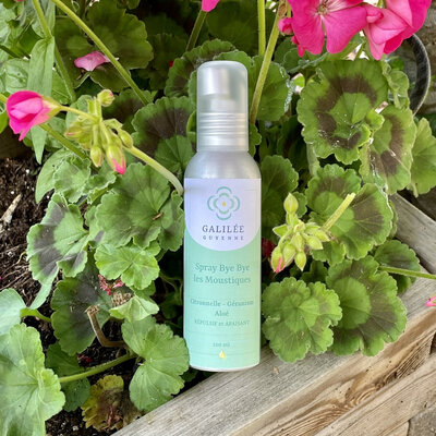 Spray bye bye les moustiques