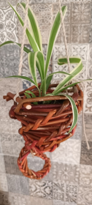 Porte plante