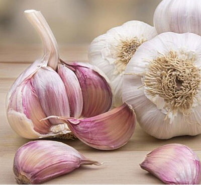 Ail violet nouveau-250g