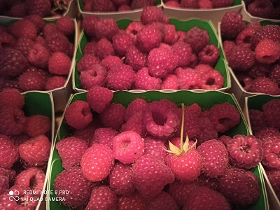 Framboise '125g'