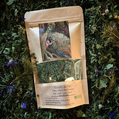 Tisane de pan
