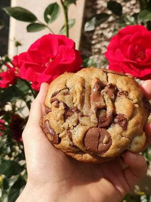 Cookies 3 chocolats