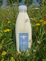 Lait entier pasteurisé