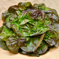 Salade rougette