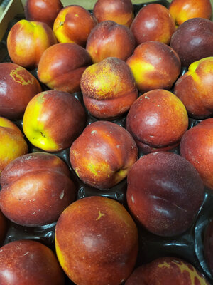 Nectarine jaune