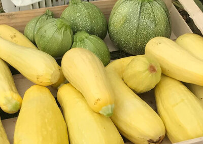 Courgettes bio