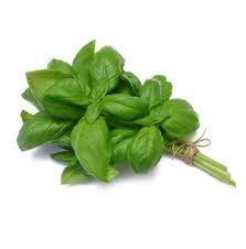 Bouquet de basilic (la pièce)
