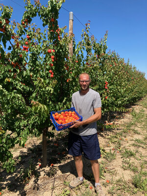 Abricots sefora