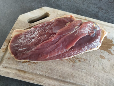Filet de canard