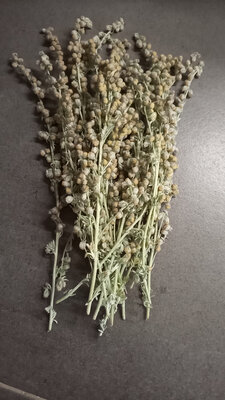 Genepi