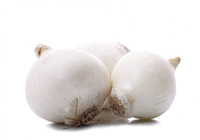 Oignon blanc
