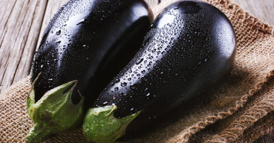 Aubergine bio
