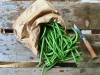 Haricots verts