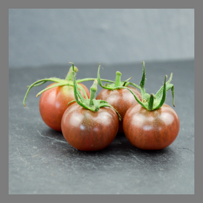 Tomate cerise black cherry