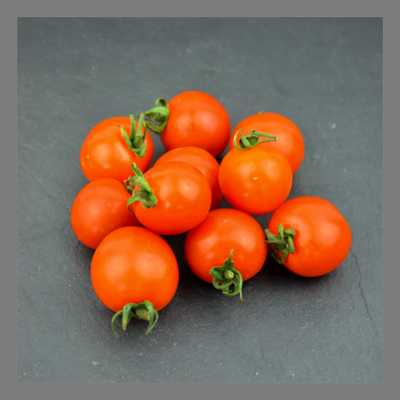 Tomate cerise sakura