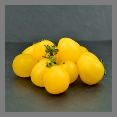 Tomate cerise yellow submarine