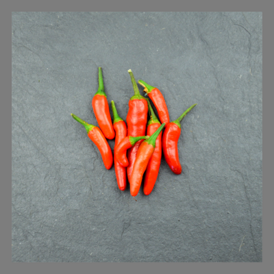 Piment oiseau