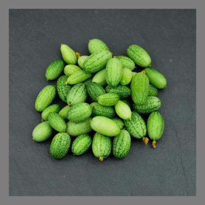 Mini-concombre solana