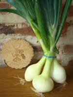 Botte de 3 oignons jaunes