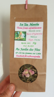Ice tea menthe tisane froide