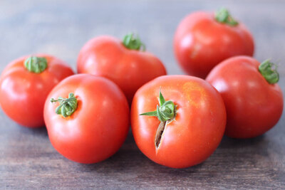 Tomate ronde bio