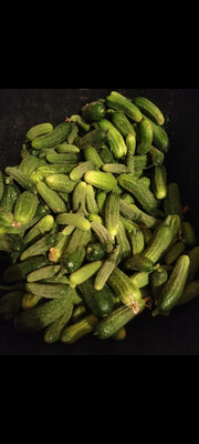Cornichon frais