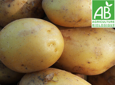 Pomme de terre anaïs bio
