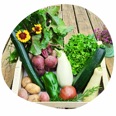 Panier de légumes