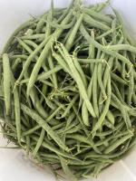 Haricots verts