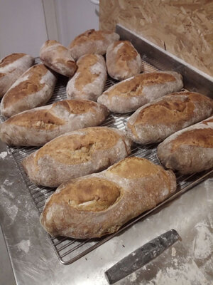 Pain campagnard au levain