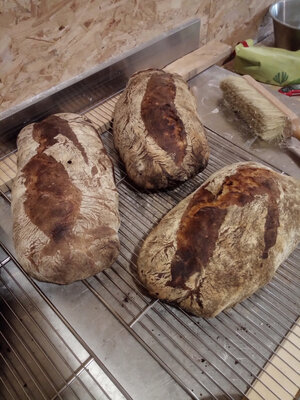 Pain semi complet fermentee levain