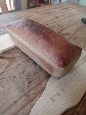 Pain de petit epeautre au levain
