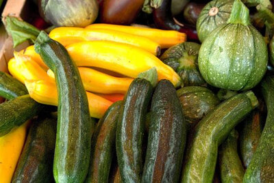 Courgettes vertes