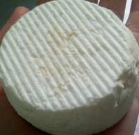 Chèvre très goûtu