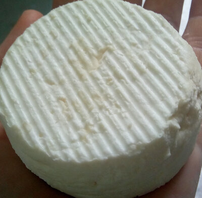Chèvre très goûtu