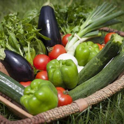 Panier de légumes