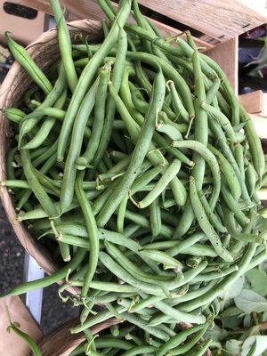 Haricots extra fin bio