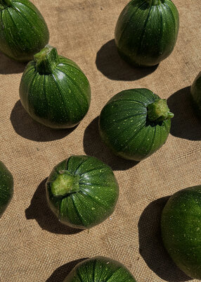 Courgette ronde