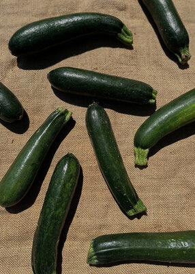 Courgette verte foncée